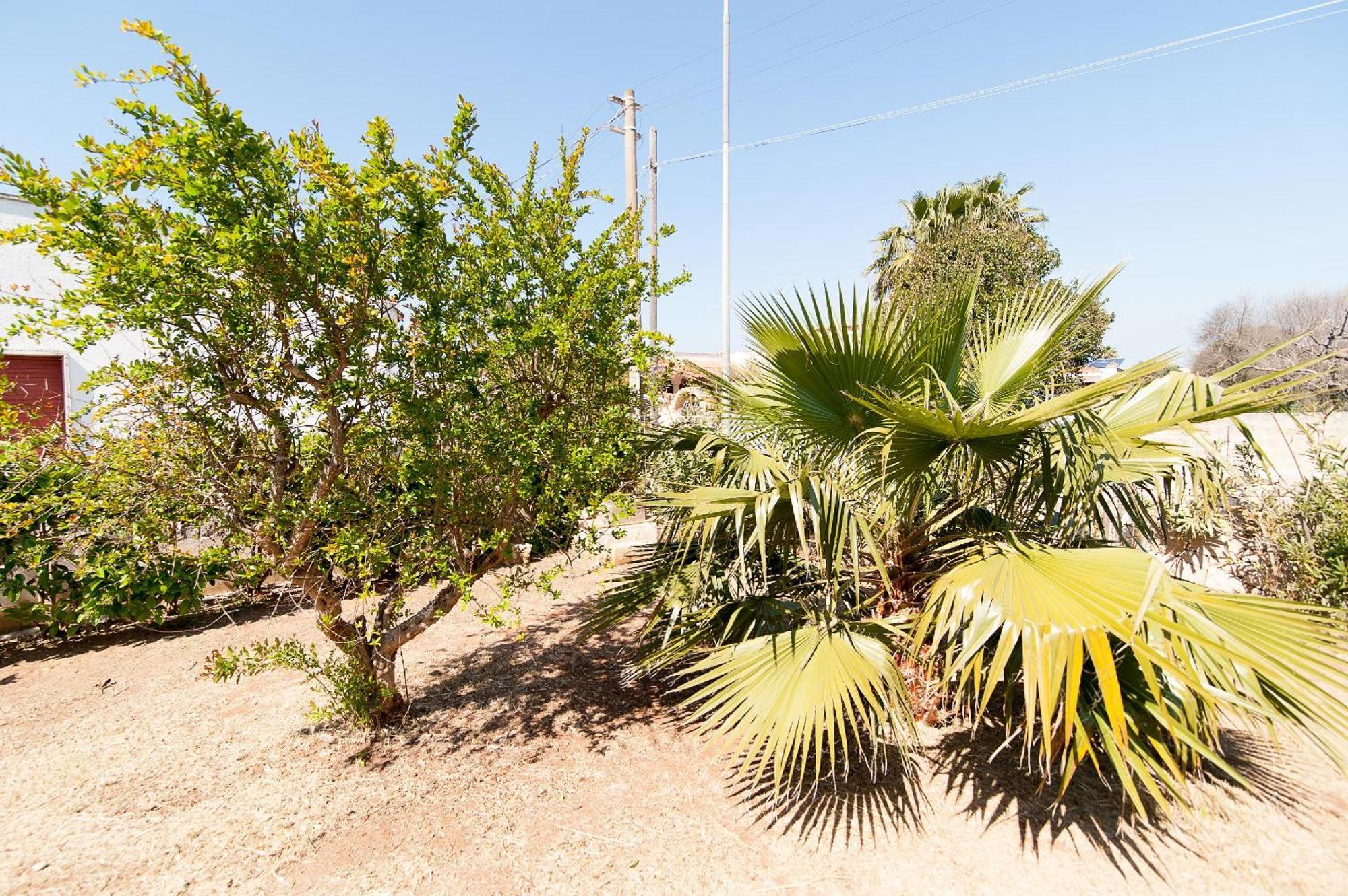 Villa Rose Marina di Mancaversa Buitenkant foto